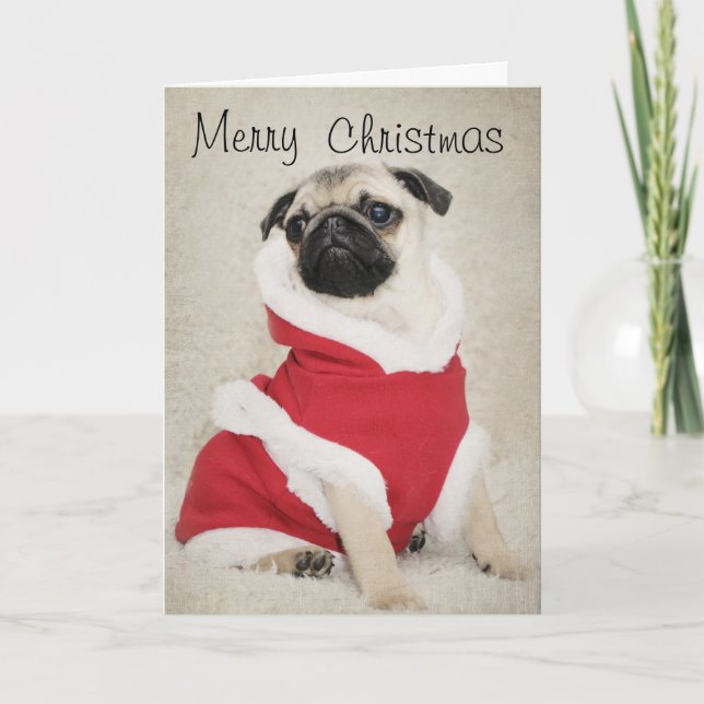 Pug Christmas Card (Front)