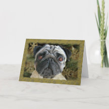 Pug Christmas card - look into her eyes...