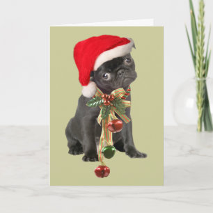 Pug Christmas Cards