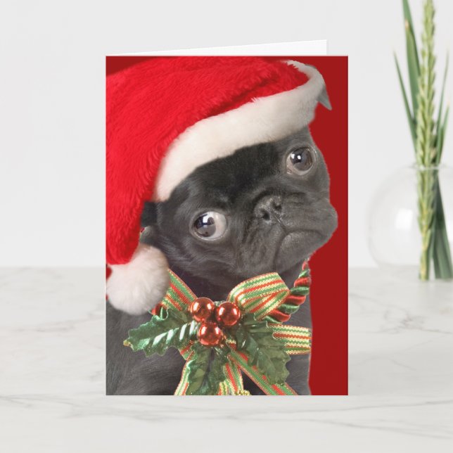 Pug Christmas Cards (Front)