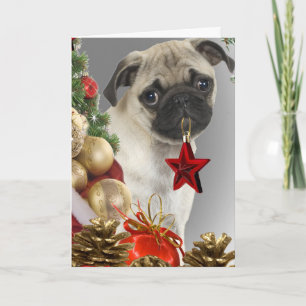 Pug Christmas Cards