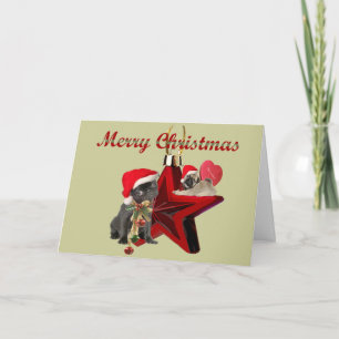 Pug Christmas Cards