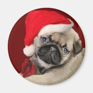 Pug Christmas Holiday Magnets