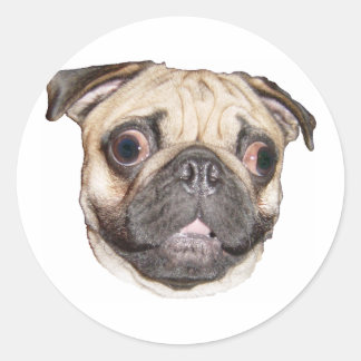 Pug Classic Round Sticker