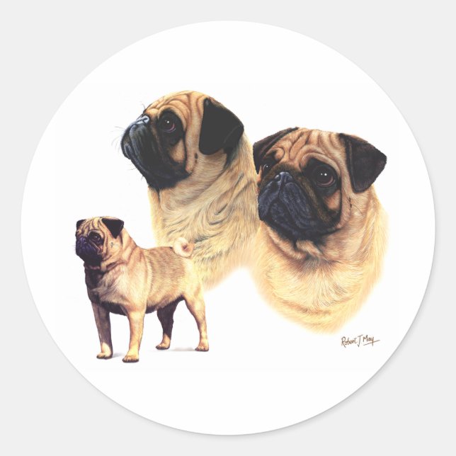 Pug Classic Round Sticker (Front)
