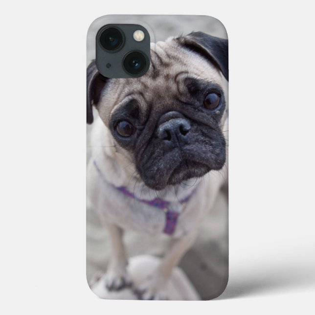 Pug Closeup Case-Mate iPhone Case (Back)