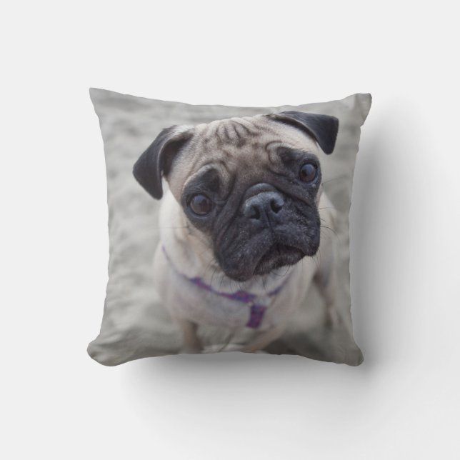 Pug Closeup Cushion (Front)