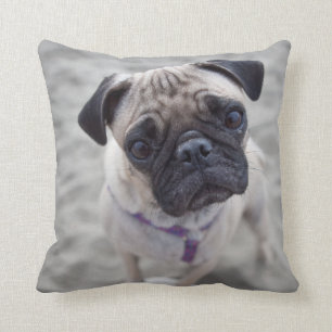 Pug Closeup Cushion