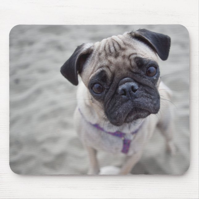 Pug Closeup Mouse Mat (Front)