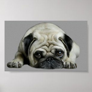 Pug Clown At Heart Print