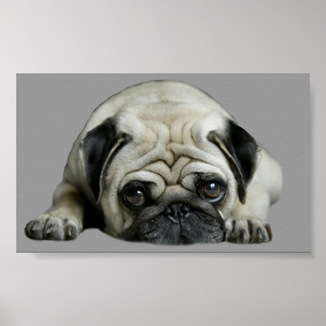 Pug Clown At Heart Print (Front)