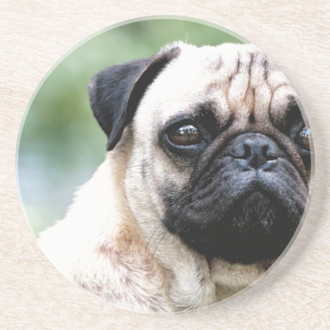 Pug Coaster (Front)