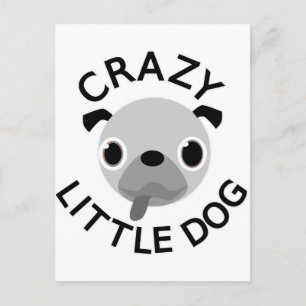 Pug Crazy Little Dog Postcard