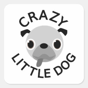Pug Crazy Little Dog Square Sticker