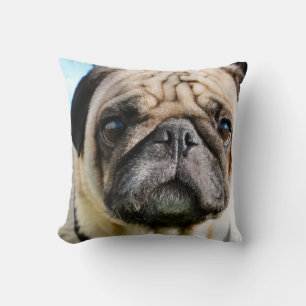 Pug   cushion