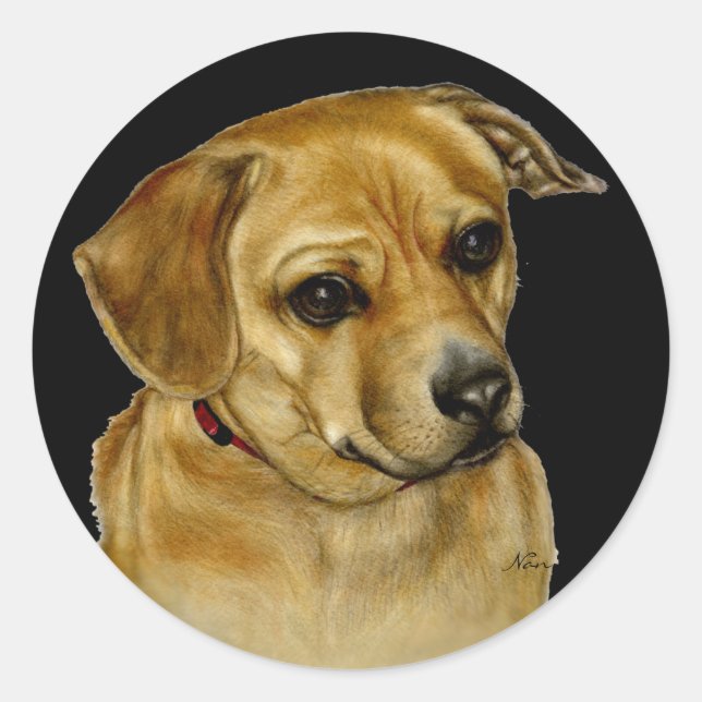 Pug Dachsy Sticker (Front)