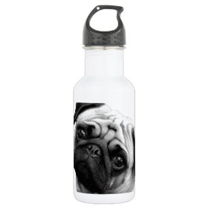 Pug Dog 532 Ml Water Bottle