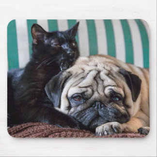 Pug Dog and Black Cat Sleeping Together Mouse Mat