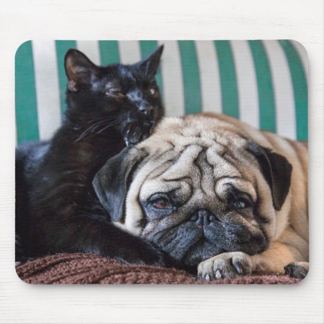 Pug Dog and Black Cat Sleeping Together Mouse Mat (Front)