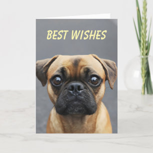 Pug Dog Animal Wishes Holiday Card