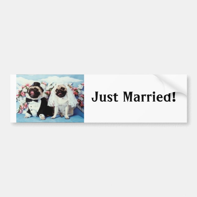 Pug Dog Bride & Groom Wedding Bumper Sticker (Front)