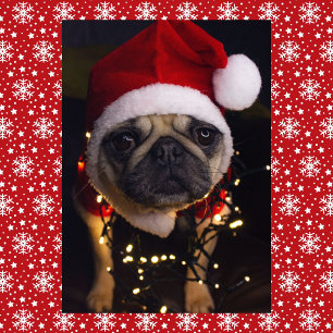 Pug Dog Christmas Personalise Signature Holiday Card