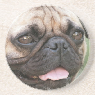 Pug Dog Coaster