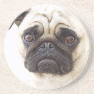 Pug Dog Coasters