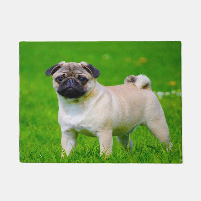 Pug Dog. Doormat (Front)