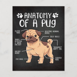 pug dog flyer