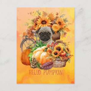 Pug Dog Hello Pumpkin Fall Autumn Thanksgiving   Holiday Postcard