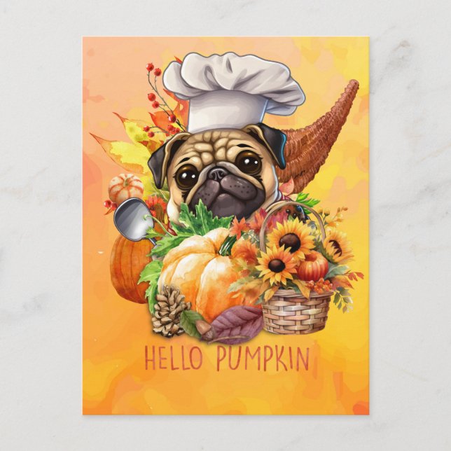 Pug Dog Hello Pumpkin Fall Autumn Thanksgiving   Holiday Postcard (Front)