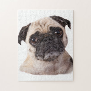 pug dog jigsaw puzzle