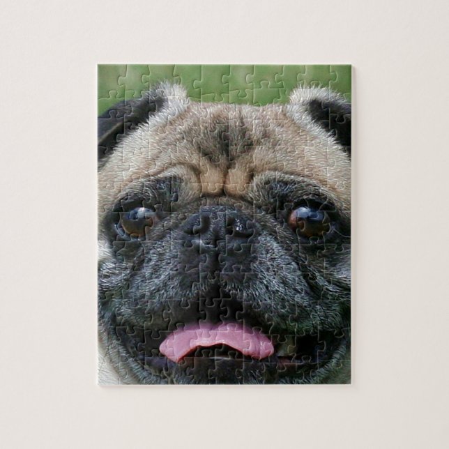 Pug Dog Jigsaw Puzzle (Vertical)