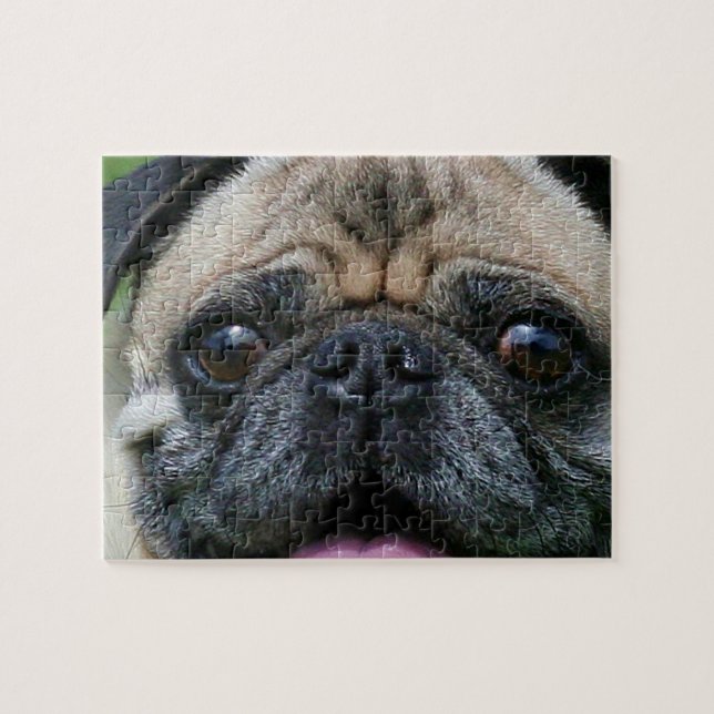 Pug Dog Jigsaw Puzzle (Horizontal)