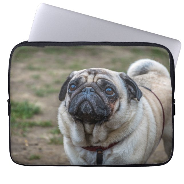 Pug dog laptop sleeve (Front)