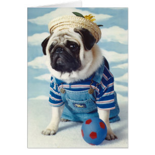 Pug Dog Little Boy Blue