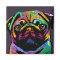 Pug Dog