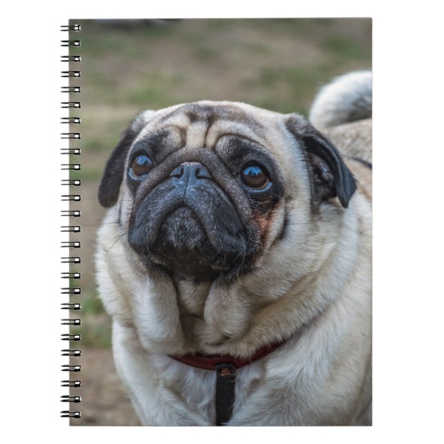 Pug dog notebook (Front)