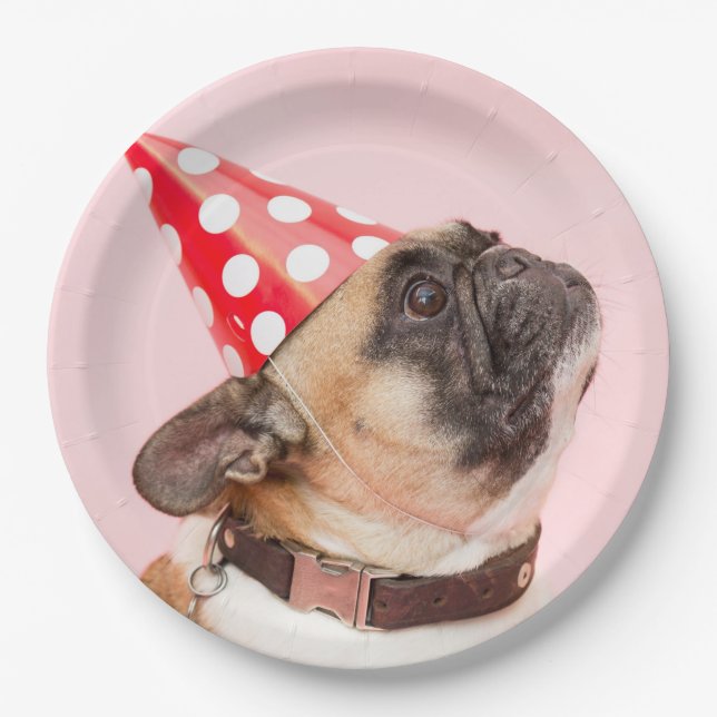 Pug Dog Party Disposable Paper Plates (Front)