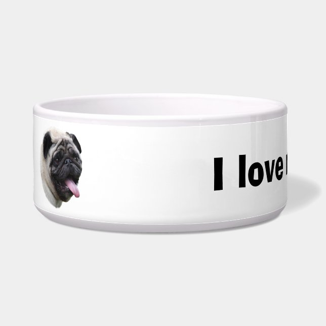 Pug dog pet photo portrait (Left)