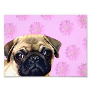 Pug dog photo print