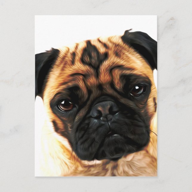 pug dog postcard (Front)