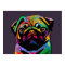 Pug Dog