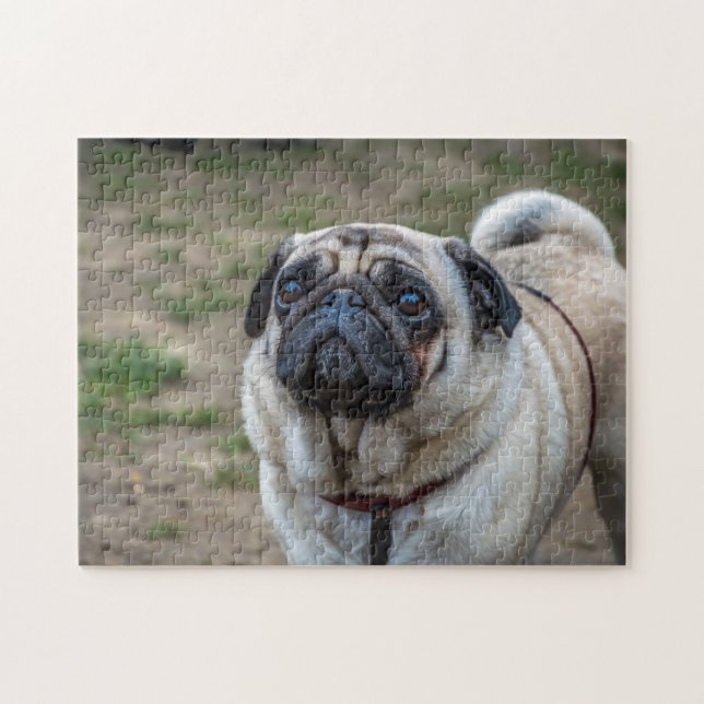 Pug dog puzzle (Horizontal)