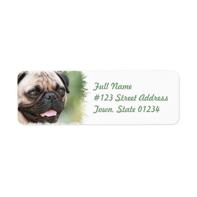 Pug Dog Return Address Label (Front)