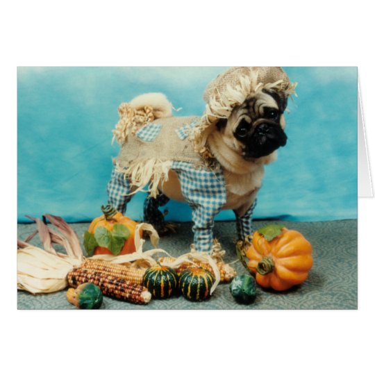 Pug Dog Scarecrow Card