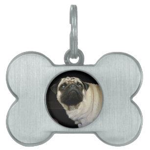 Pug Dog & Spilled Mug Pet-lovers Dog Tag