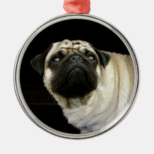 Pug Dog & Spilled Mug Pet-lovers Ornament