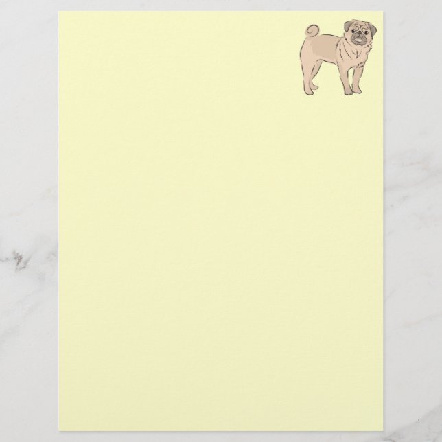 PUG dog standing alone cute! (Front)